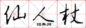 仙人杖怎么写好看