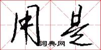 用是怎么写好看