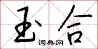 玉合怎么写好看