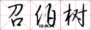 召伯树怎么写好看