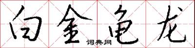 白金龟龙怎么写好看