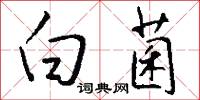白菌怎么写好看