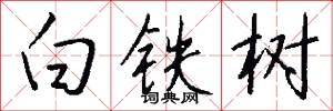 白铁树怎么写好看