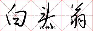 白头翁怎么写好看