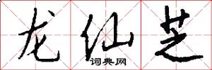 龙仙芝怎么写好看