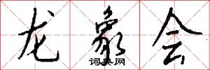 龙象会怎么写好看