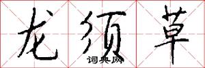 龙须草怎么写好看