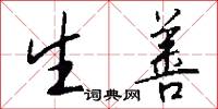 生善怎么写好看