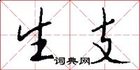 生支怎么写好看
