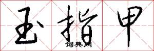玉指甲怎么写好看