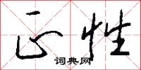 正性怎么写好看