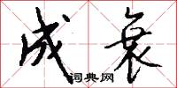 成衰怎么写好看