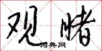 观睹怎么写好看
