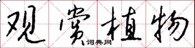 观赏植物怎么写好看