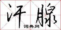 汗腺怎么写好看