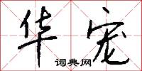华宠怎么写好看