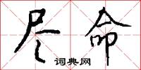 尽命怎么写好看