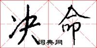 决命怎么写好看