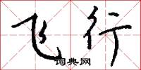 飞行怎么写好看