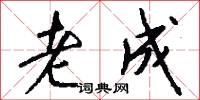 老成怎么写好看