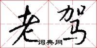 老驾怎么写好看