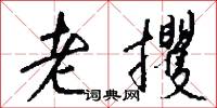 老攫怎么写好看