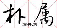朴属怎么写好看