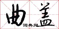 曲盖怎么写好看