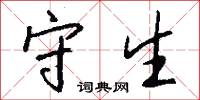 守生怎么写好看