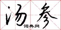 汤参怎么写好看