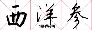 西洋参怎么写好看
