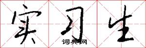实习生怎么写好看