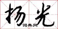 扬光怎么写好看