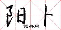 阳卜怎么写好看