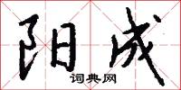 阳成怎么写好看