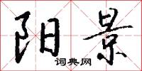 阳景怎么写好看