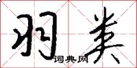 羽类怎么写好看