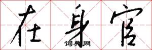 在身官怎么写好看