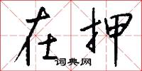 在押怎么写好看