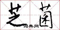 芝菌怎么写好看