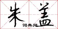 朱盖怎么写好看