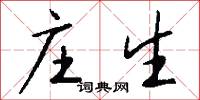 庄生怎么写好看