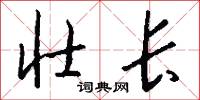 壮长怎么写好看
