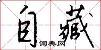 自藏怎么写好看