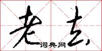 老去怎么写好看