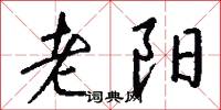 老阳怎么写好看