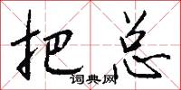 把总怎么写好看