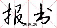 报书怎么写好看