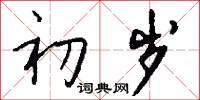 初岁怎么写好看