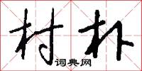 村朴怎么写好看